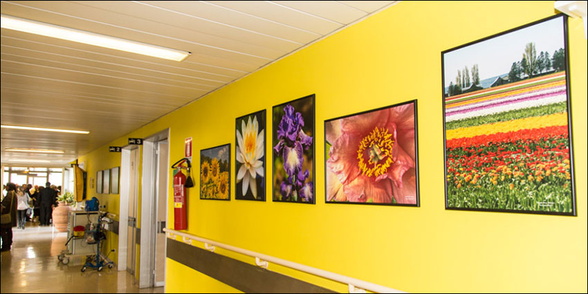 Nature art in hospital corridor